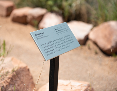 a small sign on a post titled Galleta Grass