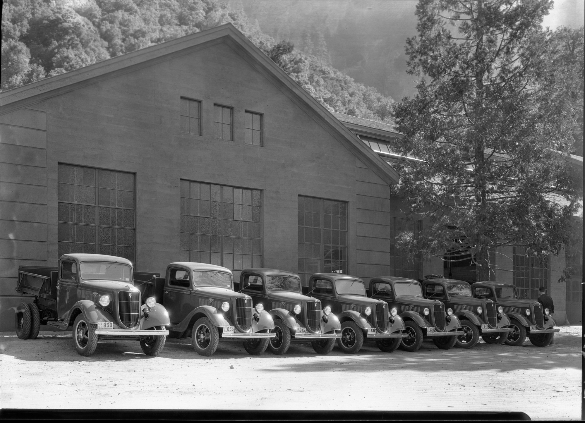 Lineup of new cars at the Utility Building.