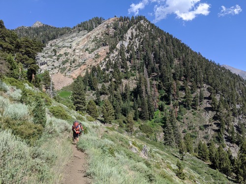 People carrying large backpacks on a narrow dirt trail hiking towards a forested mountainside. 