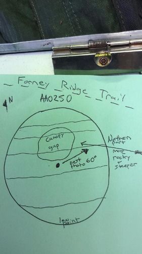 GRSM Accuracy Assessment. Plot Code: GRSM_AA_0250_map