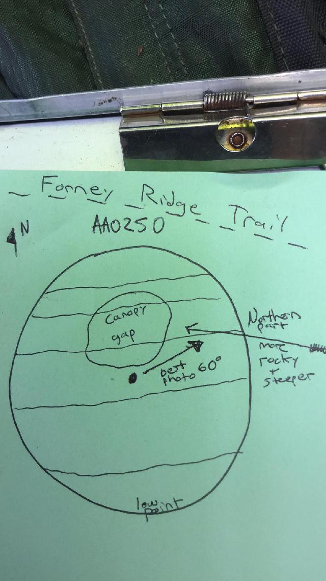 GRSM Accuracy Assessment. Plot Code: GRSM_AA_0250_map