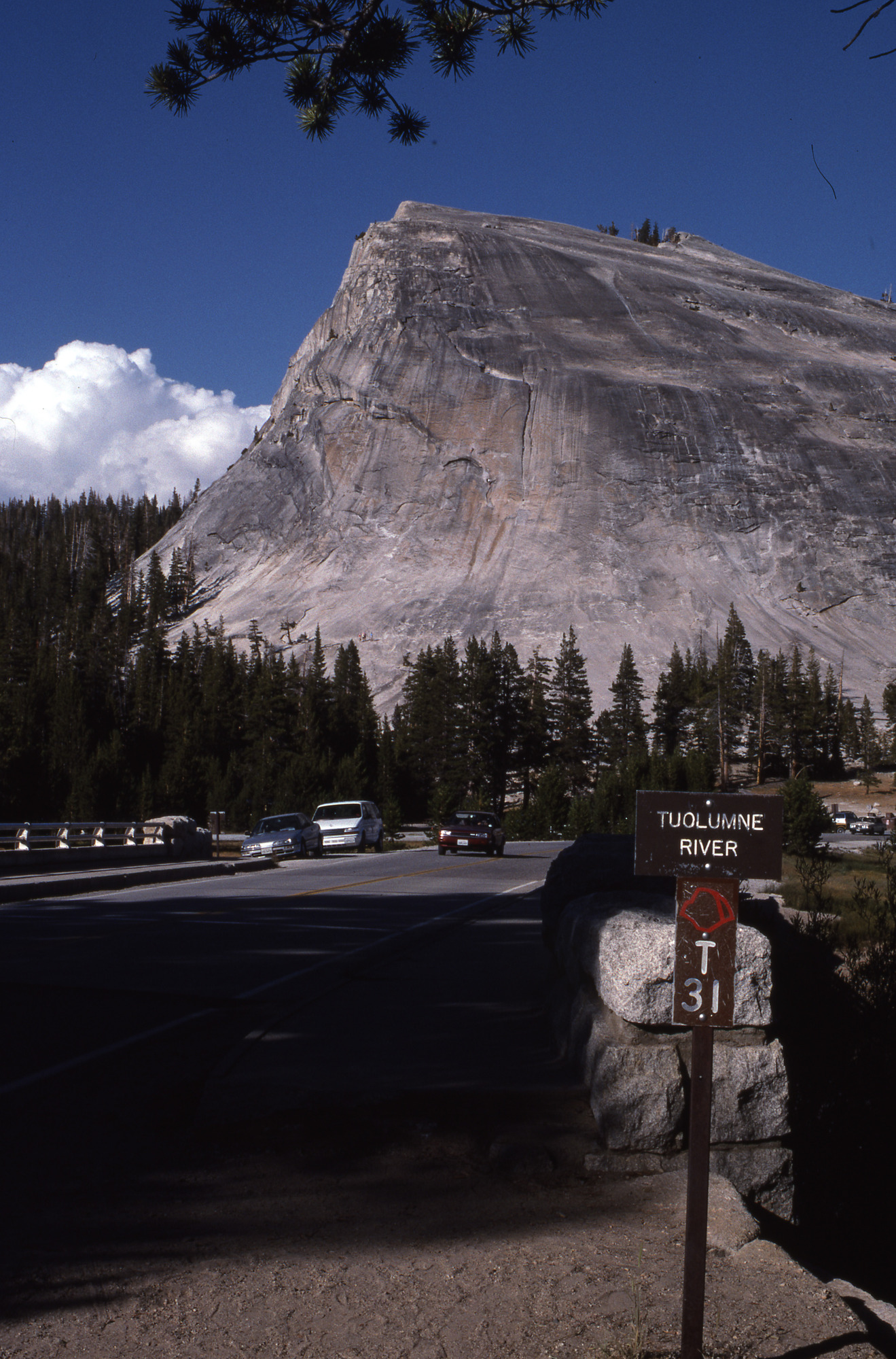 Tuolumne Meadows