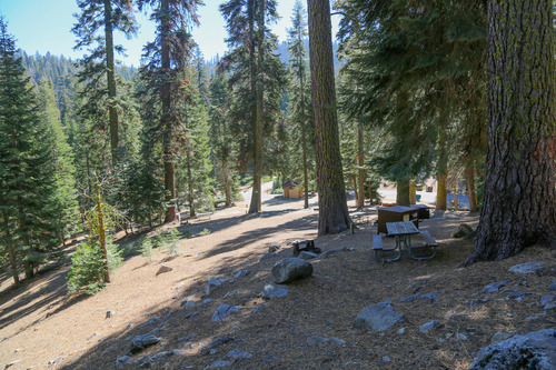 campsites on hill away from the road