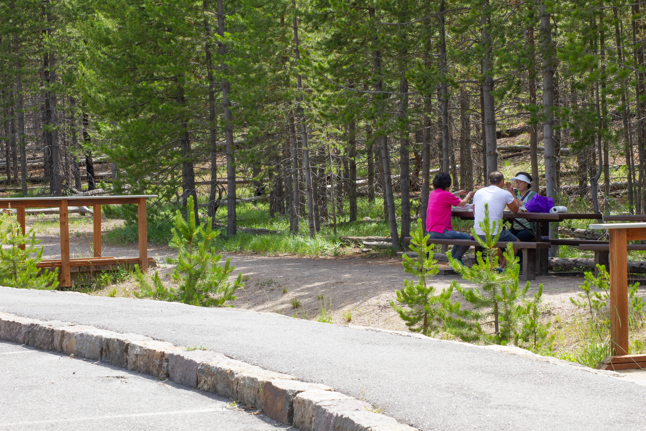 People sitting at picnic table near a sidewalk with trees in background
