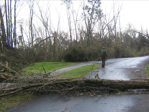 Tornado Damage at Stones River National Battlefield in April 2009