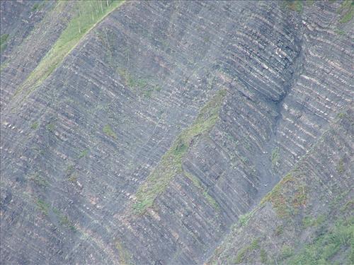17 Yukon-Charley Rivers National Preserve Peregrine Falcon Survey July 2006