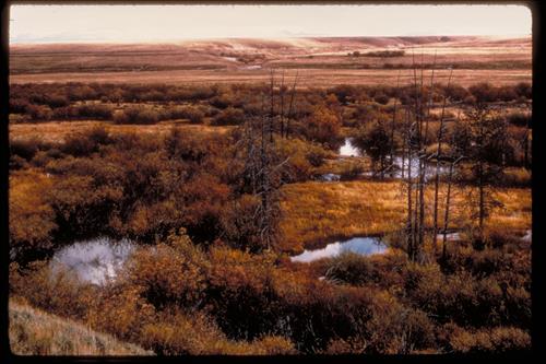 Big Hole National Battlefield, Montana