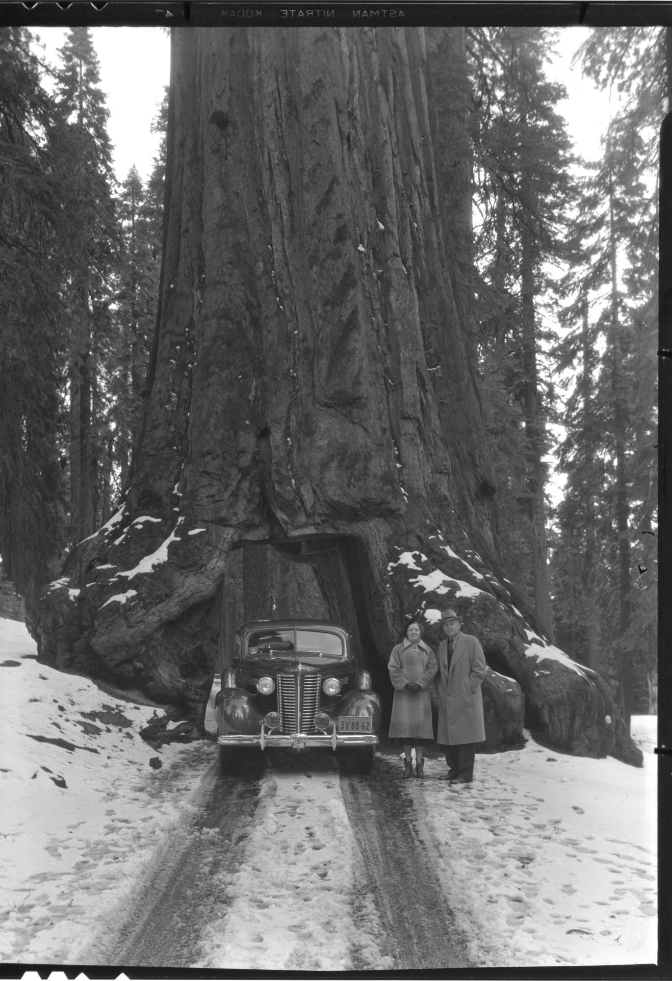 Mr. & Mrs. Whitesells