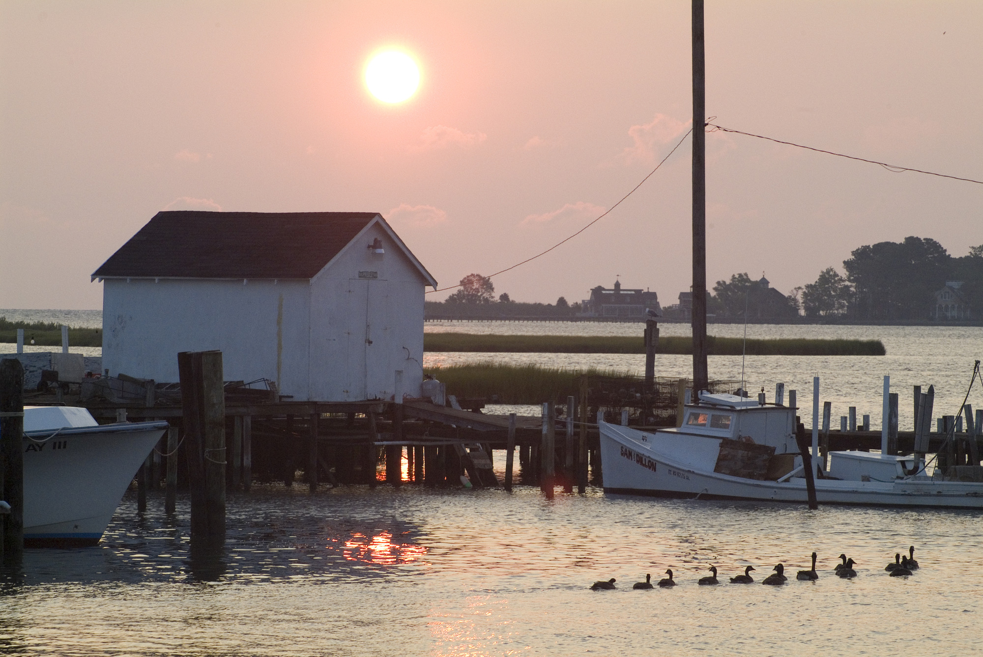 Boats and ducks at sunset on Tangier Island
