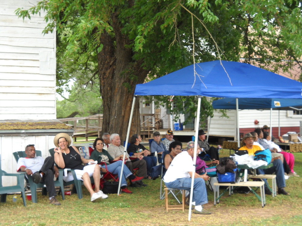 Music festival crowd