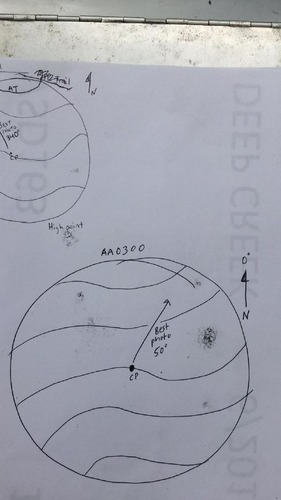 GRSM Accuracy Assessment. Plot Code: GRSM_AA_0300_map
