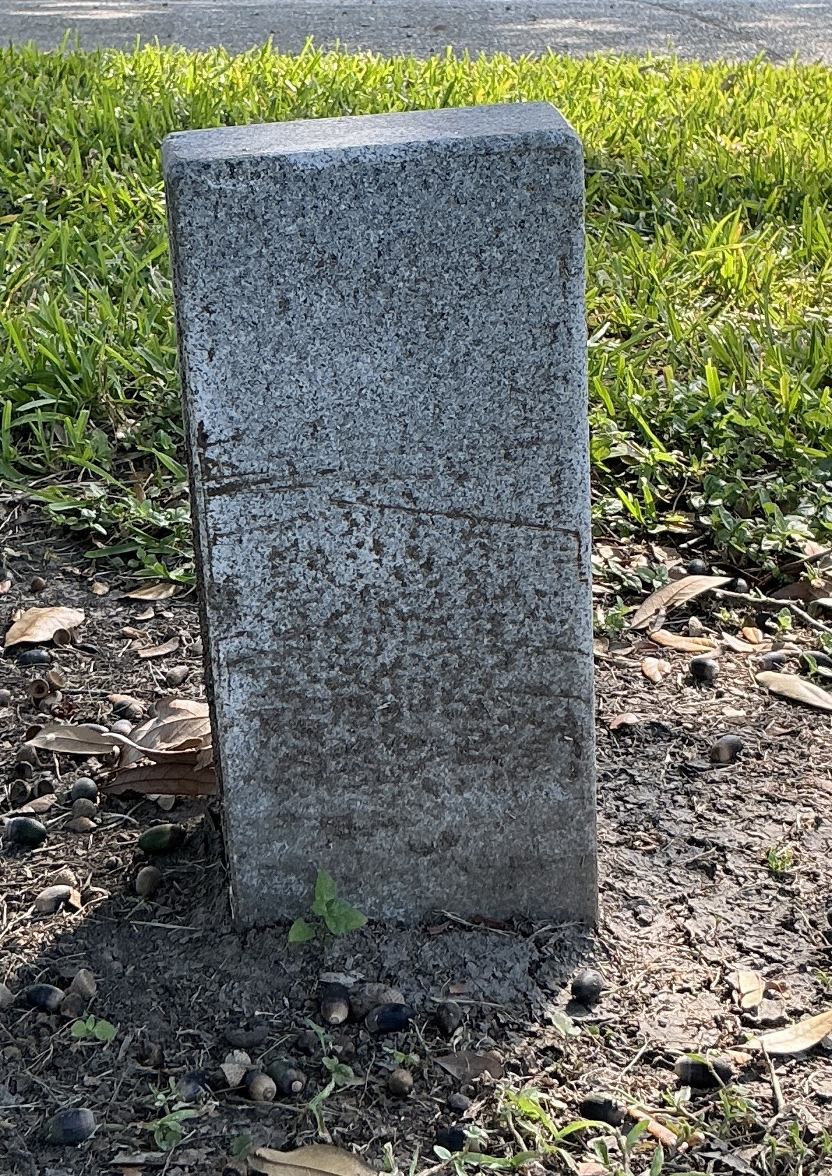 Headstone at Chalmette National Cemetery (extra)