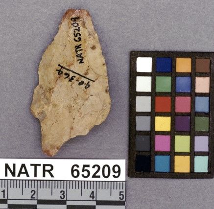 NATR   65209 -- Gary projectile point