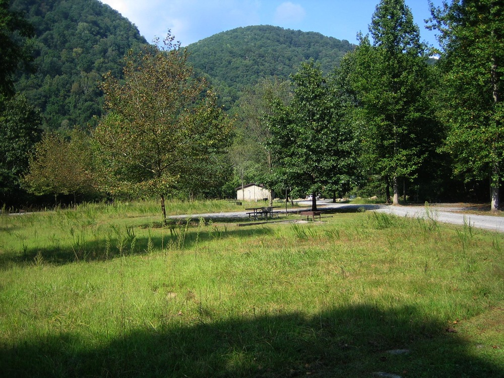 campground with trees and mountains in background