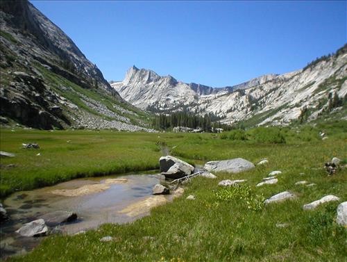 Ranger Meadow in July 2003, Sequoia and Kings Canyon National Park