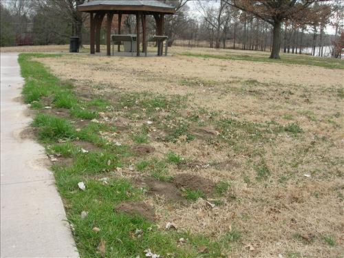 Mitigate Erosion and Restore Landscape PMIS Project 190981