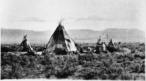 Western Shoshoni homes. Copied courtesy Craig Bates collection.