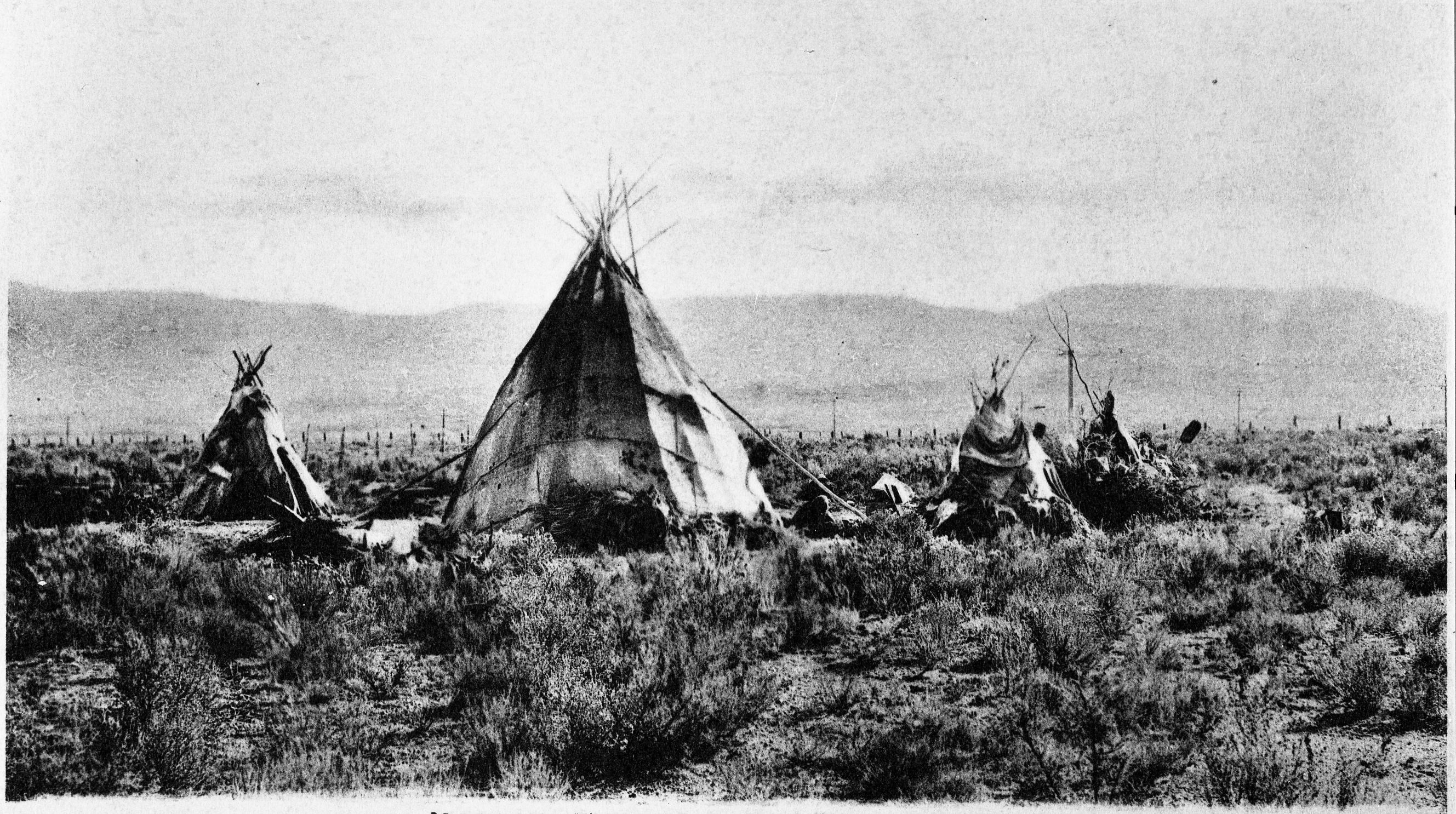 Western Shoshoni homes. Copied courtesy Craig Bates collection.