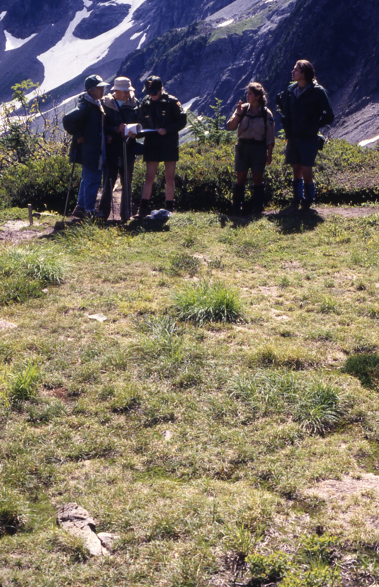 Group of project workers on trail next to grassy area with some patches. In the background are rocky mountain slopes covered in snow.