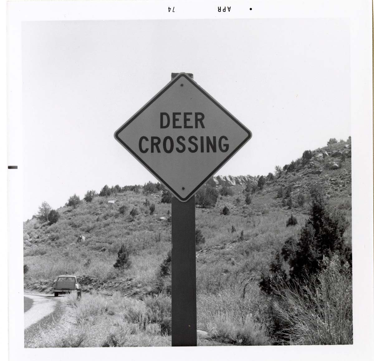 Road sign reading 'Deer Crossing' in Kolob Canyon.
