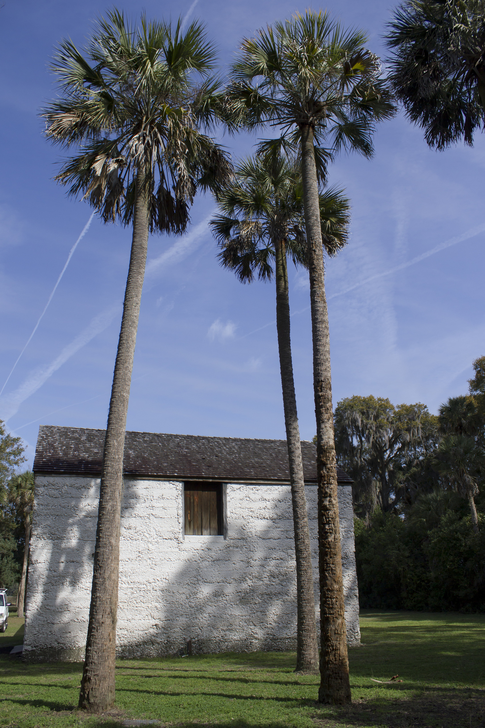 three palms in front of a white shell barn 