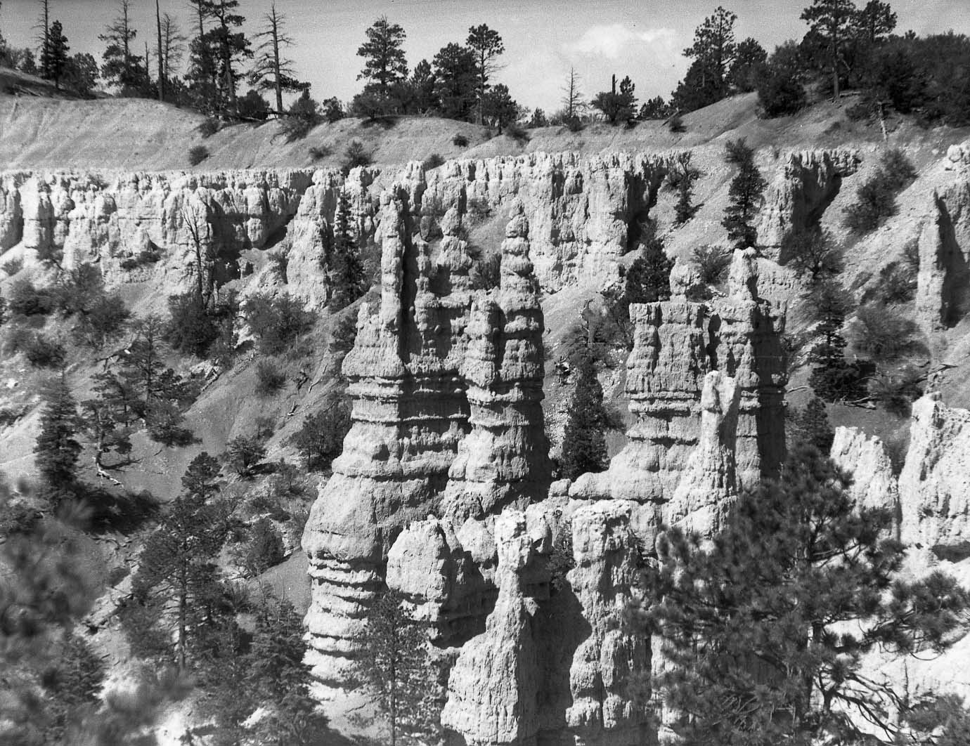 Bryce National Park