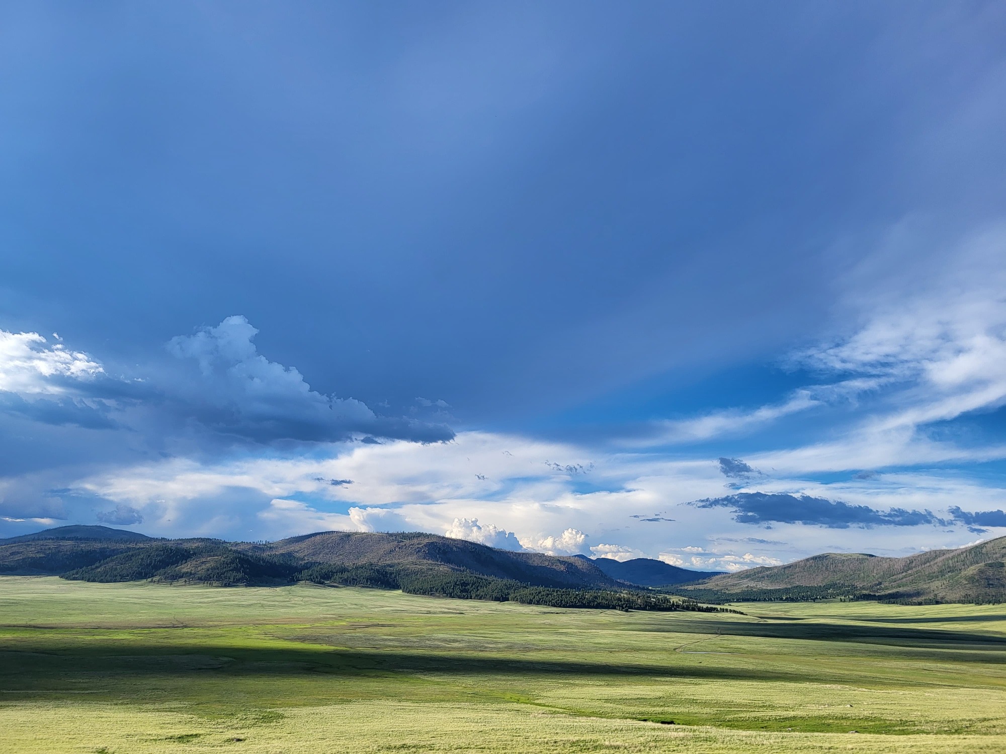 A sweeping grassland with contrasting light and shadows cast upon it