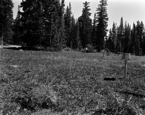 Picnic area with stoves and tables in meadow at Cedar Breaks National Monument campground.
