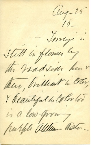 Journal, Dorr, August 25 p.16