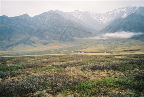 1 Gates of the Arctic National Park and Preserve Itkillik Birds June 2006