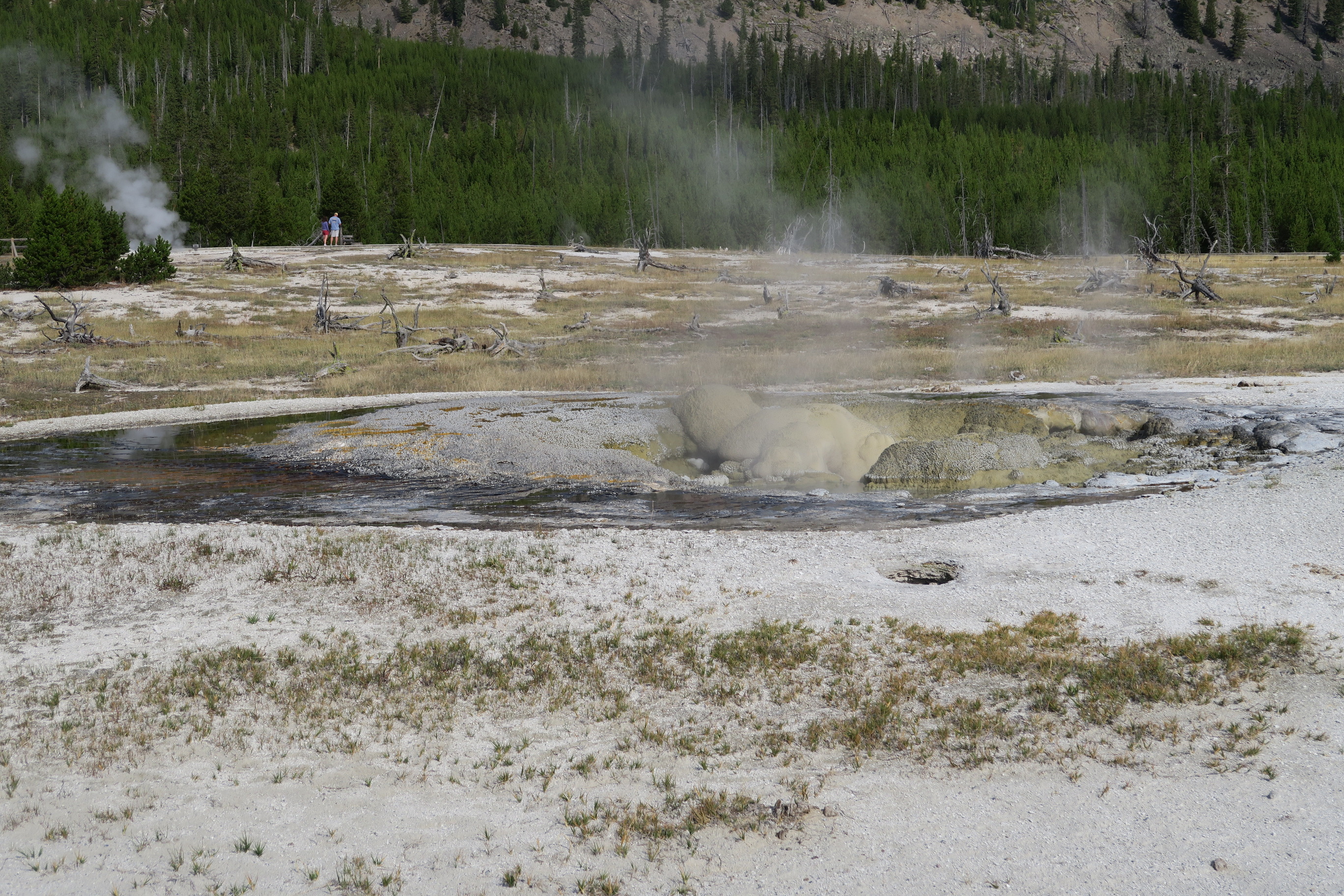 Jewel Geyser