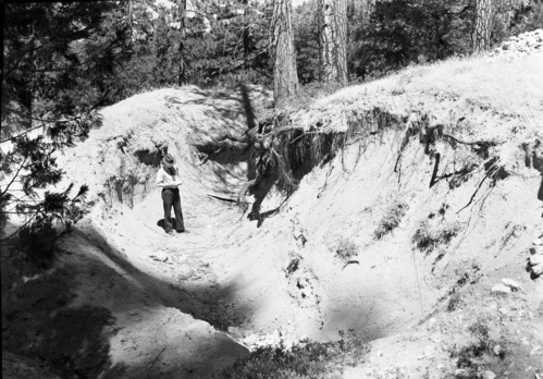 Mining claim, Wawona.