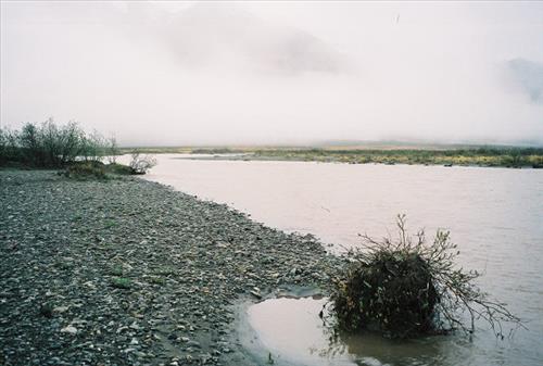2 Gates of the Arctic National Park and Preserve Itkillik Birds June 2006