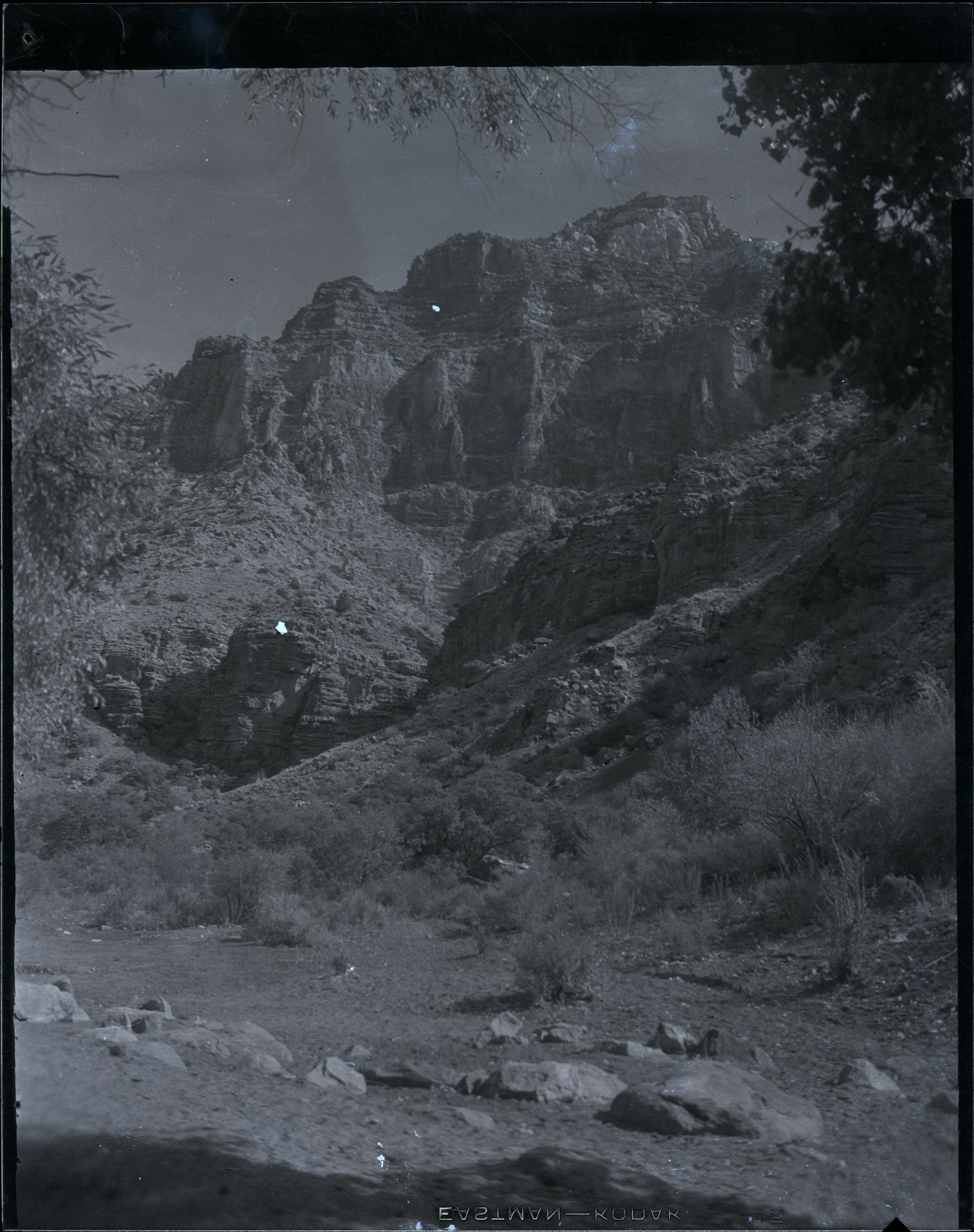 BRCA Museum and Archives Image