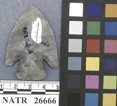 NATR   26666 -- Kirk Corner Notched Cluster projectile point