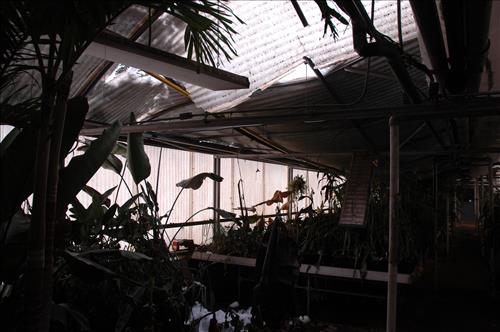 Major snow storm damage to greenhouse #4 at Kenilworth Aquatic Gardens - February 2010