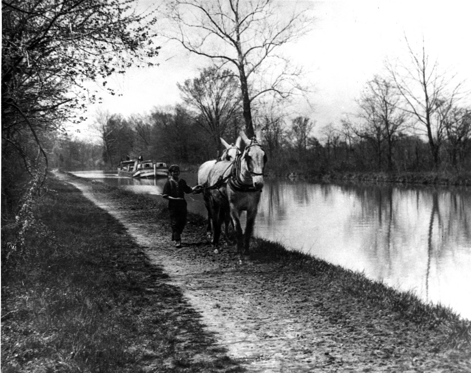 Historical black and white photo of a young child leading two mules along the towpath.