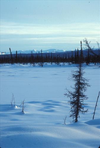 1 Yukon-Charley Rivers National Preserve Scenery