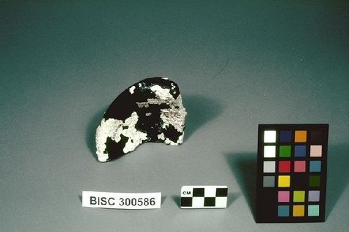 BISC  300586 -- Bottle