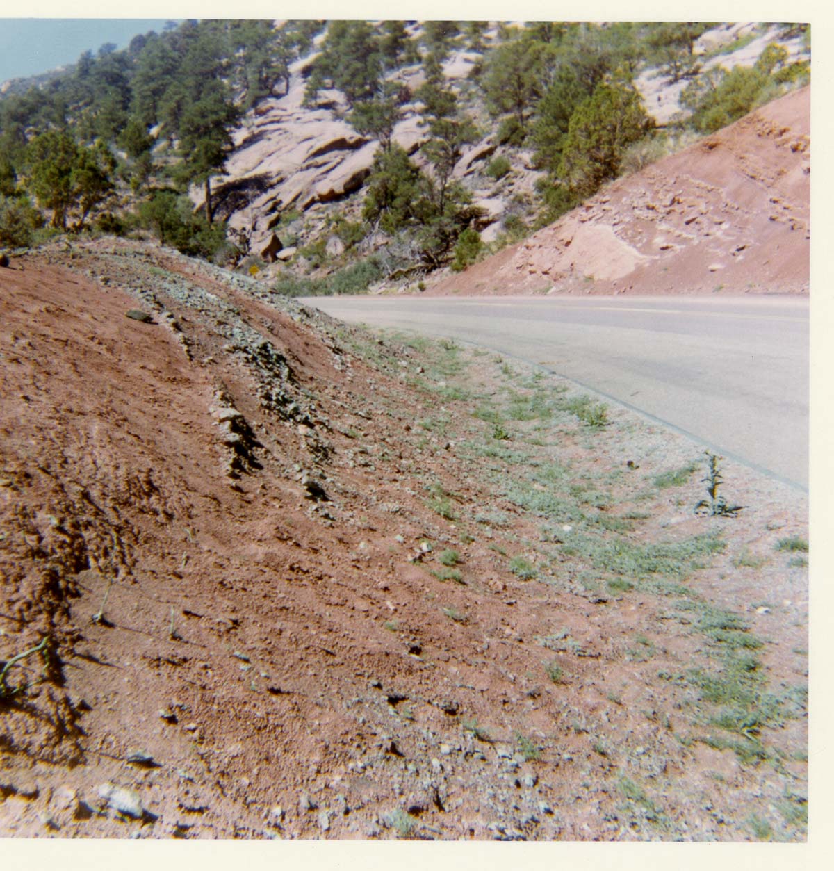 Color photo of the completion of the Kolob Canyon Road hydroseeding experiment.