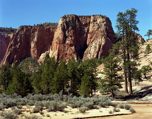 Color Photos of Tabernacle Dome - 4x5.