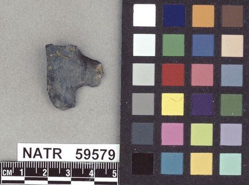 NATR   59579 -- MacCorkle projectile point