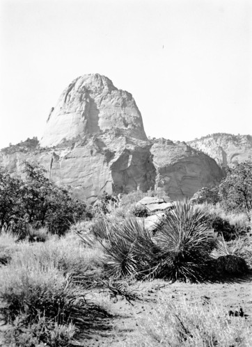 Gregory Butte view across La Verkin Creek from mouth of Hop Valley.