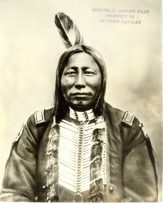 Crow King,  Hunkpapa Warrior