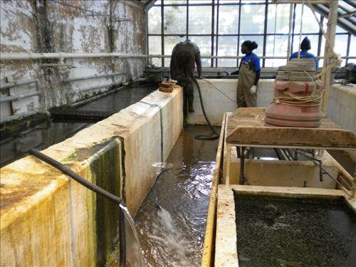 Youth Intern Program Horticultural Interns at Kenilworth Aquatic Gardens