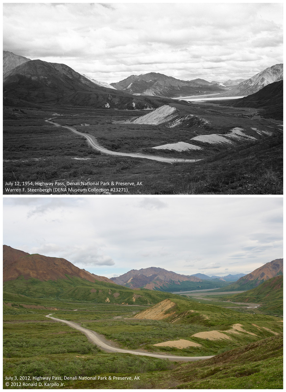 A photo pair showing Changing Shrublines at Eielson Visitor Center: 1954-2012