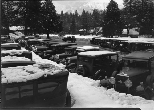 Parking area, Yosemite Lodge.