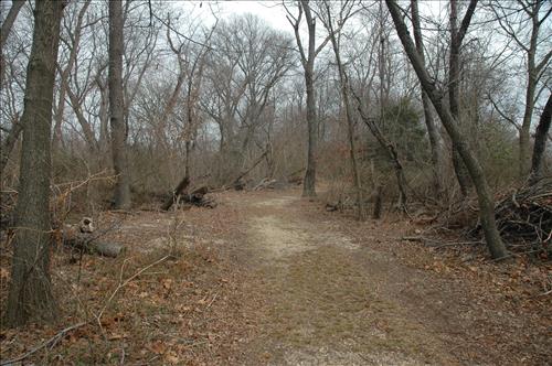 Repair and Stabilize Kenilworth Park Trail System