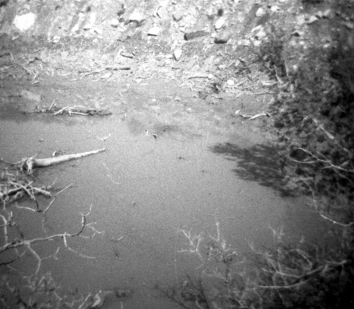 BW photos of rock slides in Kolob Canyons - 110mm.