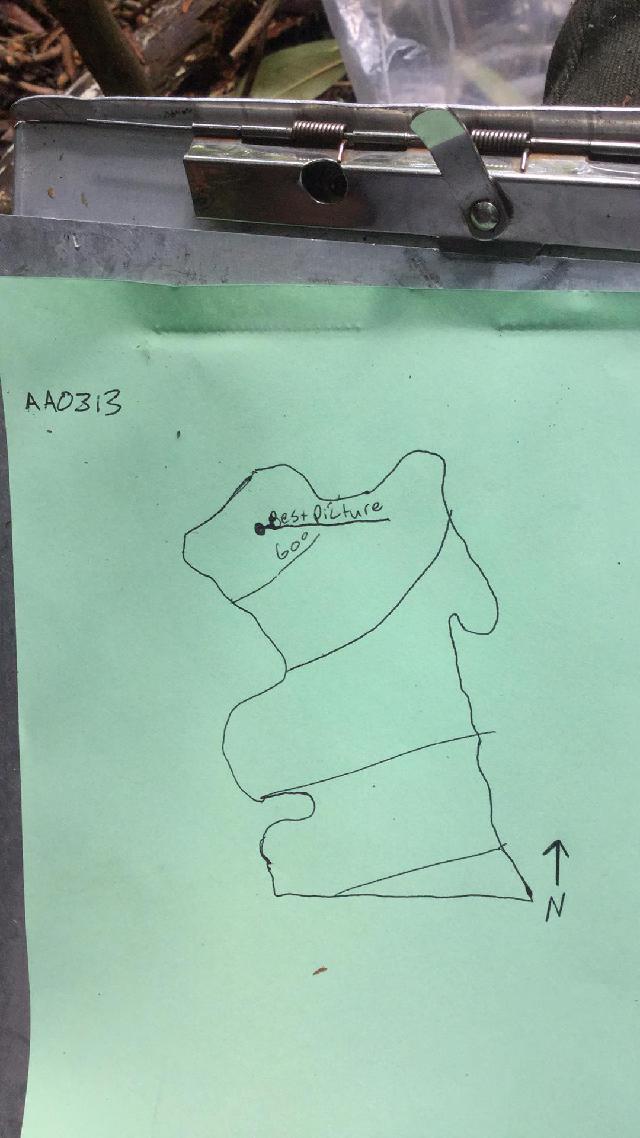 GRSM Accuracy Assessment. Plot Code: GRSM_AA_0313_map